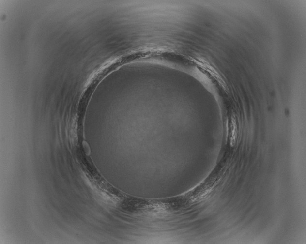 X0000067890492200604201313