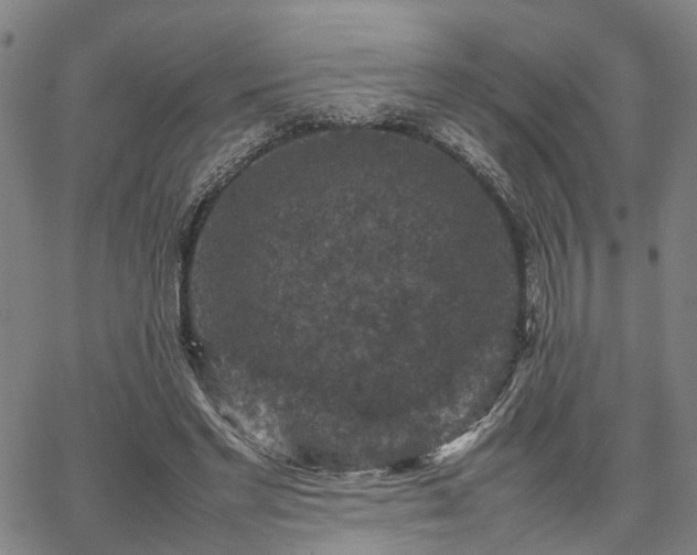 X0000067890493200604201313