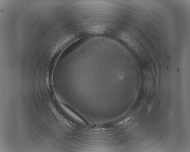 X0000067890494200604201313