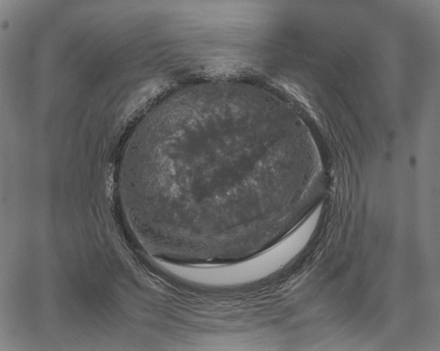 X0000067890495200604201313