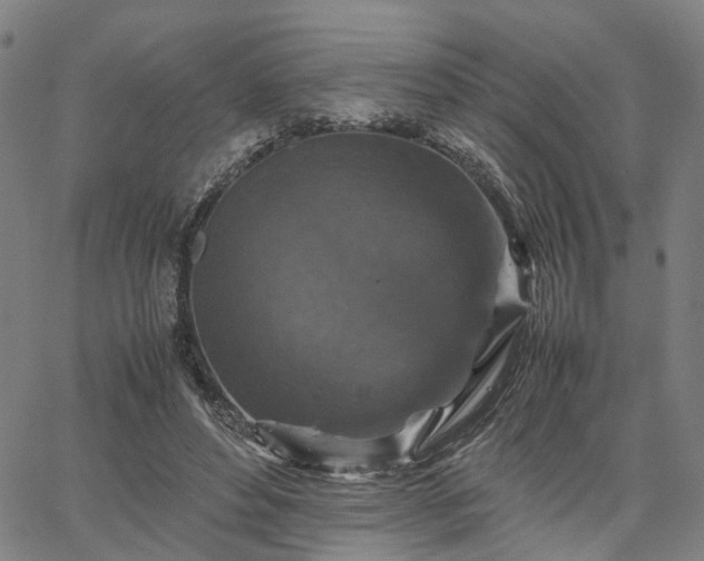 X0000067890496200604201313