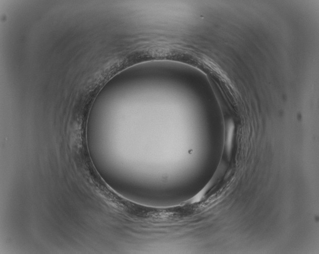 X0000067890497200604201313