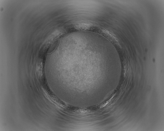 X0000067890498200604201313