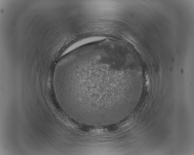 X0000067890499200604201313