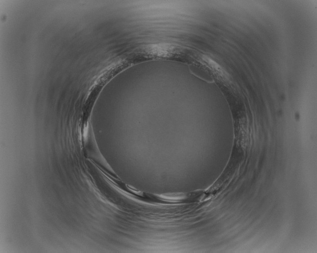 X0000067890500200604201313