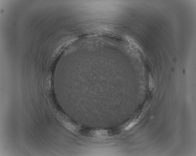 X0000067890501200604201313