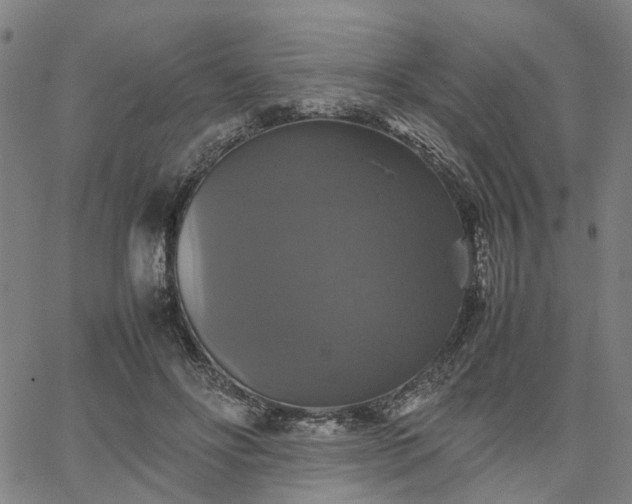 X0000067890502200604201313