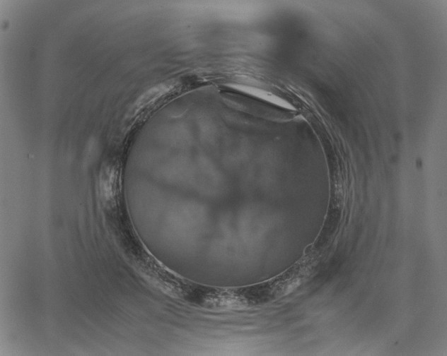 X0000067890503200604201313