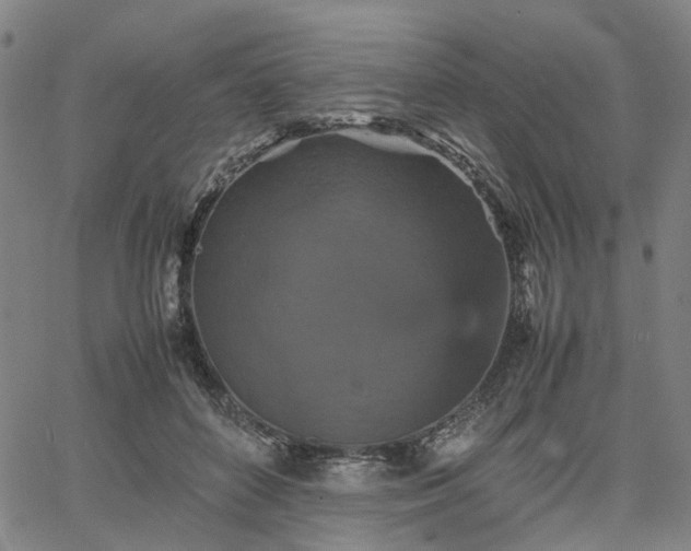 X0000067890504200604201313