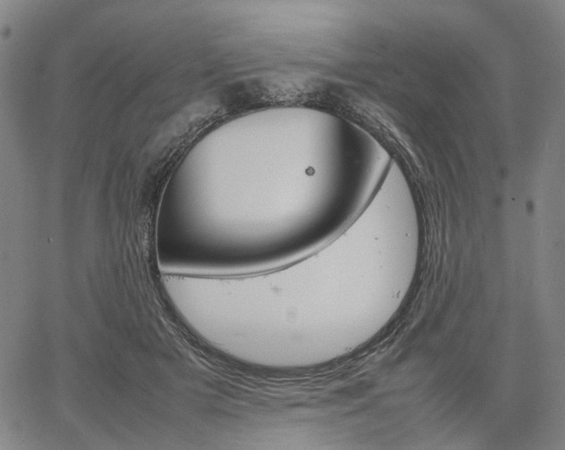 X0000067890505200604201313