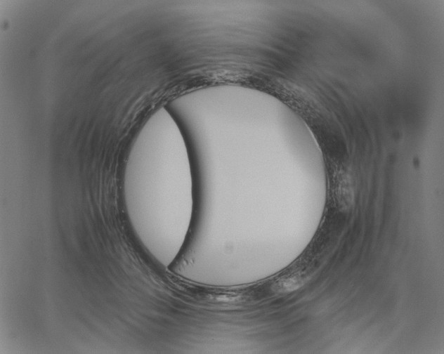 X0000067890506200604201313