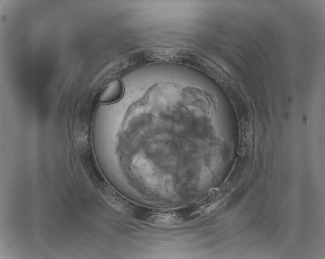 X0000067890507200604201313