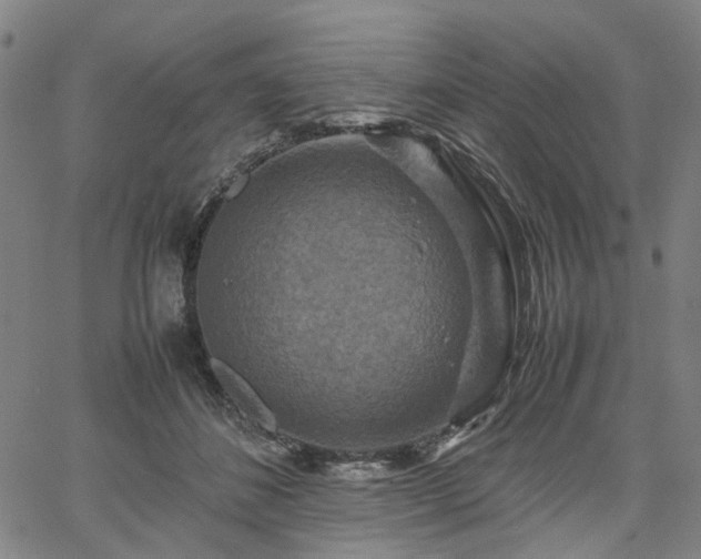 X0000067890508200604201312