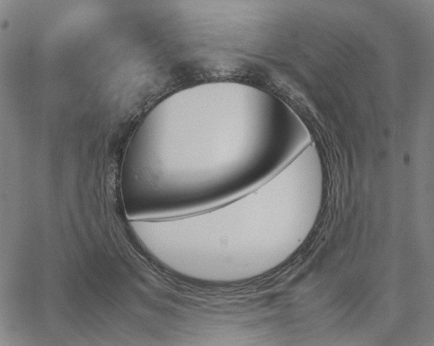 X0000067890509200604201312