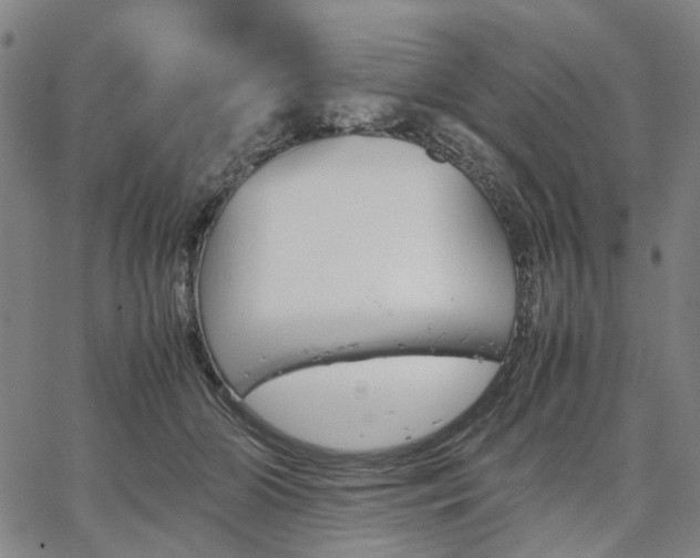 X0000067890510200604201312