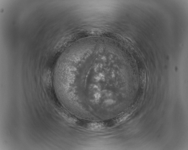 X0000067890511200604201312