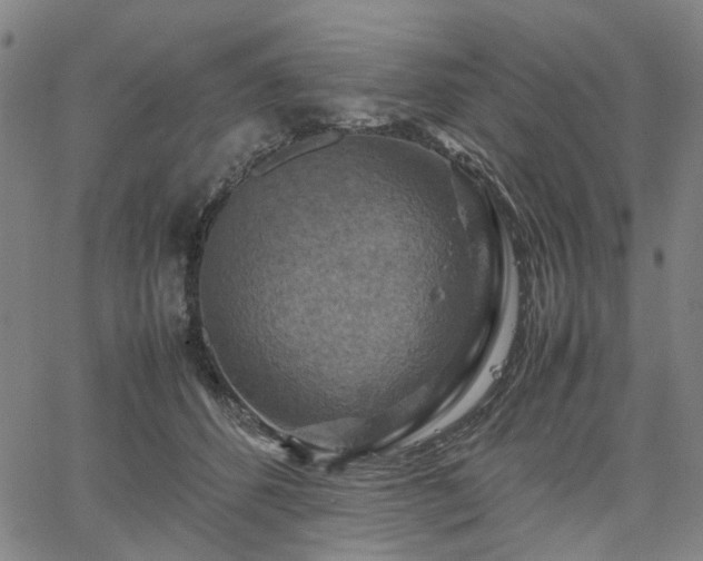 X0000067890512200604201312