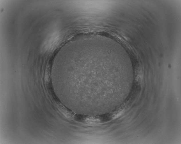 X0000067890515200604201312