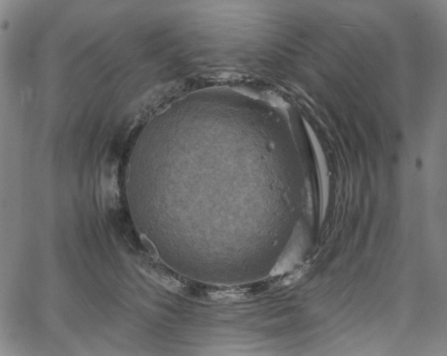 X0000067890516200604201312