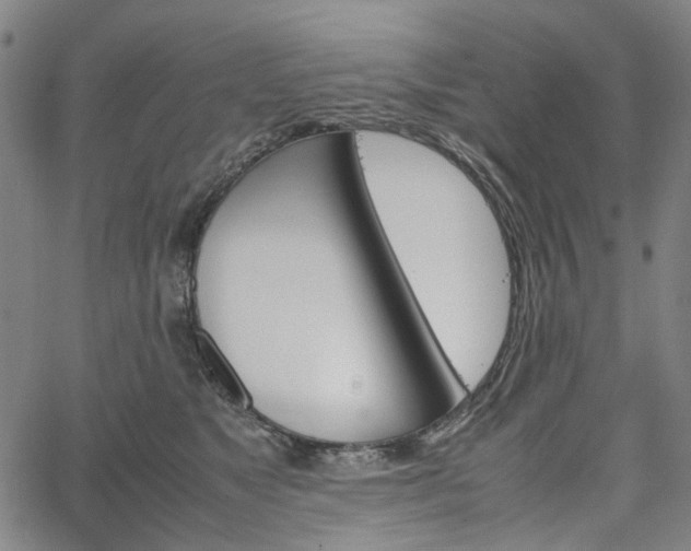 X0000067890517200604201312