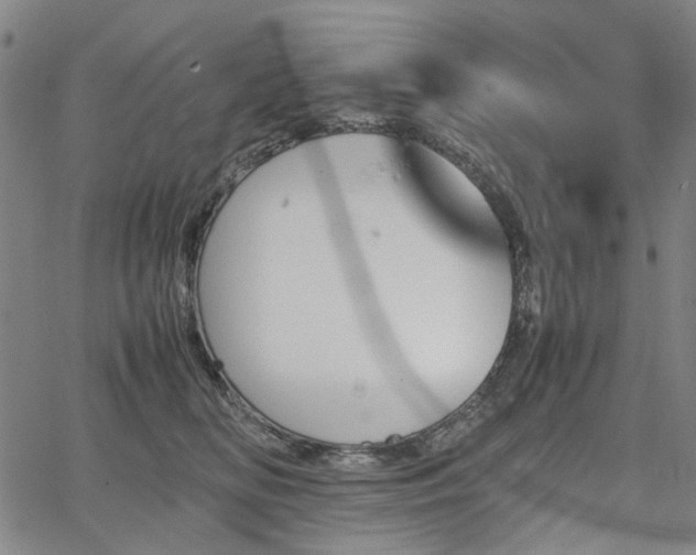 X0000067890518200604201312