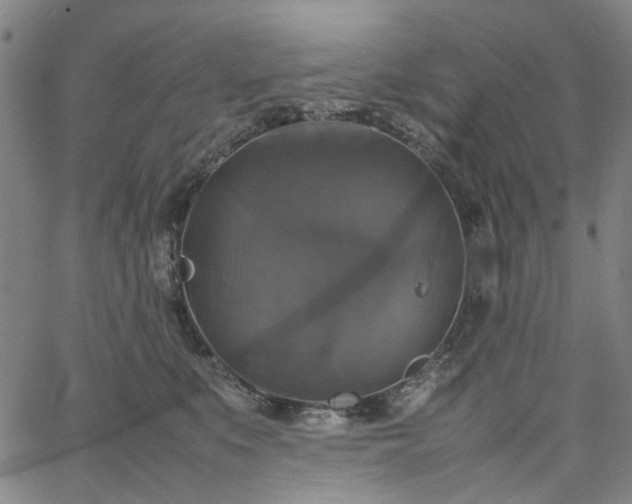 X0000067890519200604201312