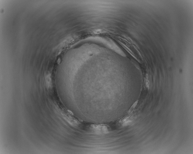 X0000067890520200604201312