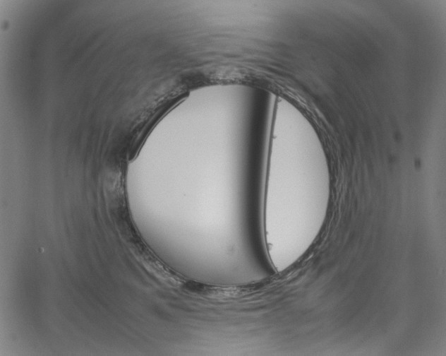 X0000067890521200604201312