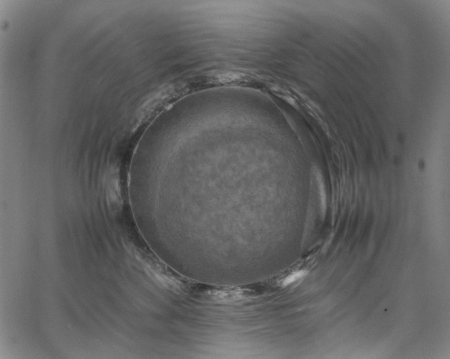 X0000067890524200604201312