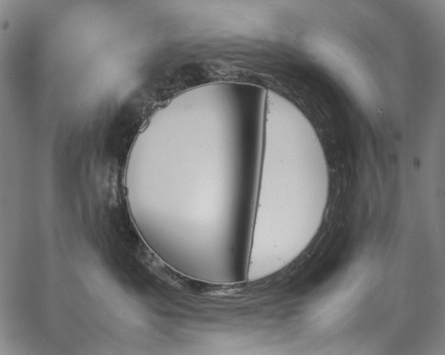 X0000067890525200604201312