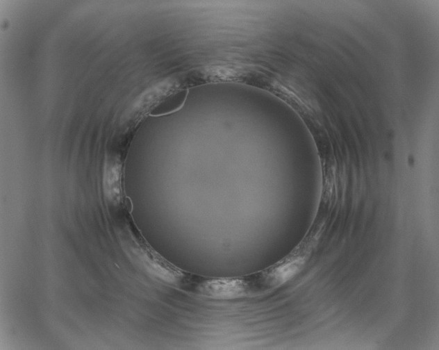 X0000067890526200604201312