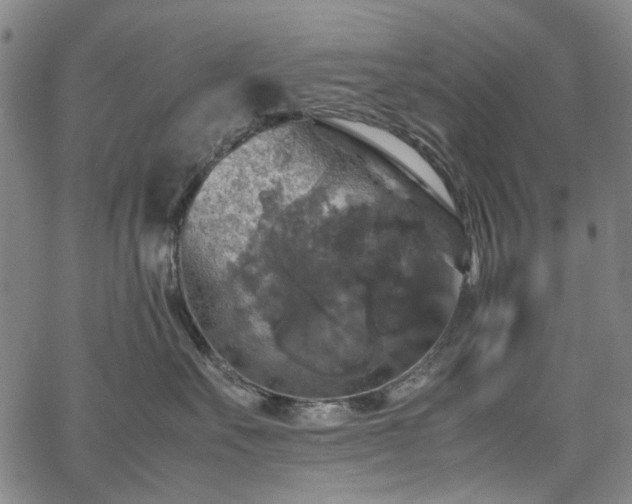 X0000067890527200604201312