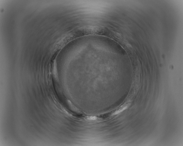 X0000067890528200604201312