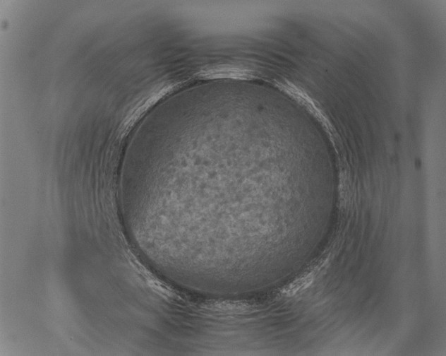 X0000067890529200604201311