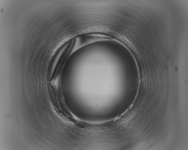 X0000067890530200604201311