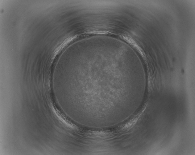 X0000067890533200604201311