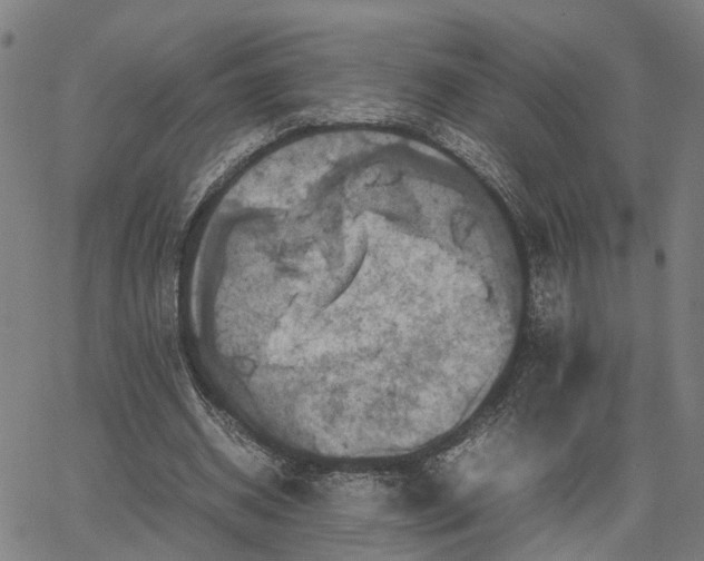 X0000067890534200604201311