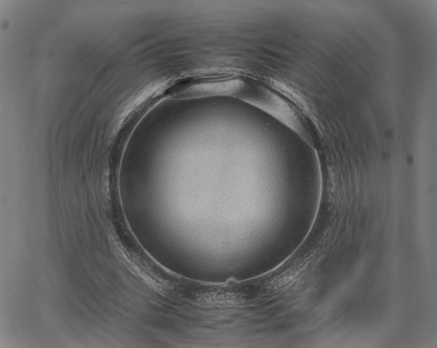 X0000067890535200604201311