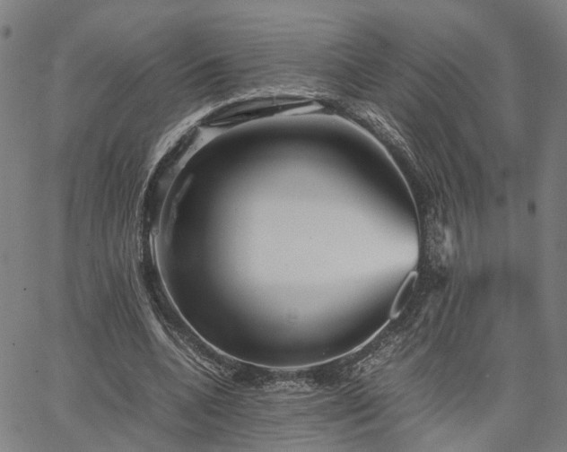 X0000067890536200604201311