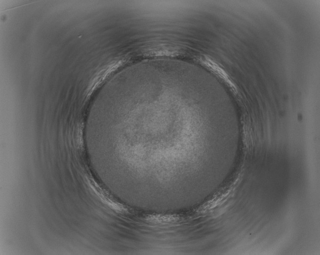 X0000067890537200604201312