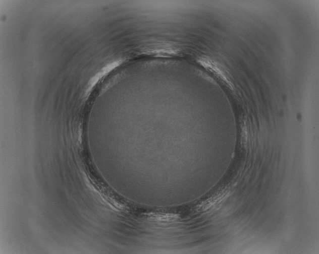 X0000067890539200604201312