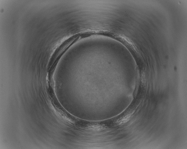 X0000067890540200604201312