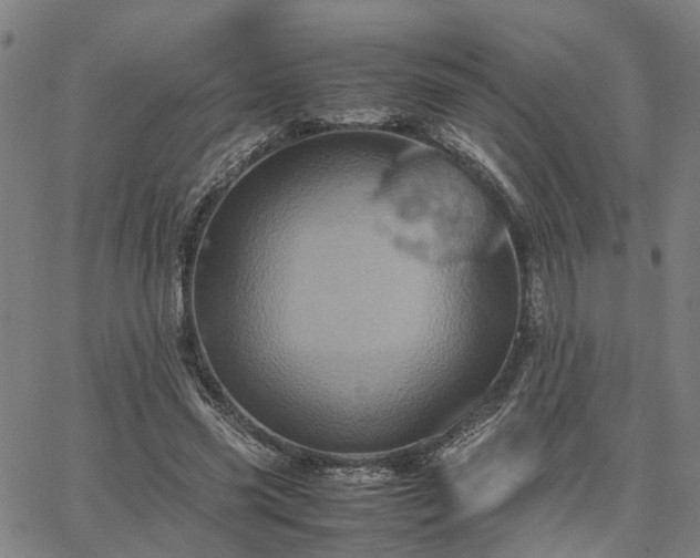 X0000067890541200604201312