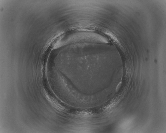 X0000067890542200604201312