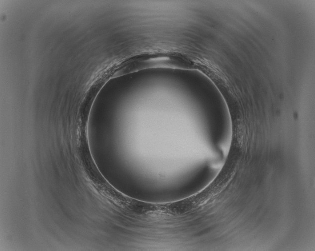 X0000067890544200604201312