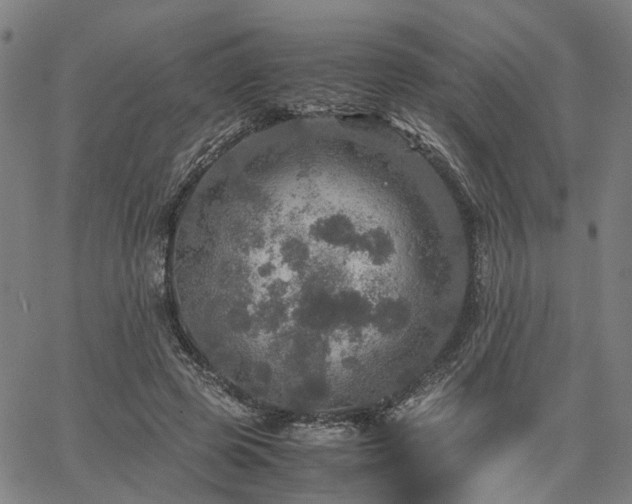 X0000067890545200604201312