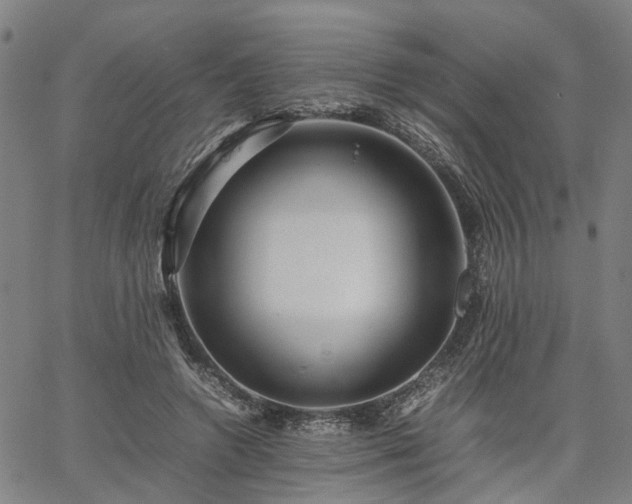 X0000067890546200604201312