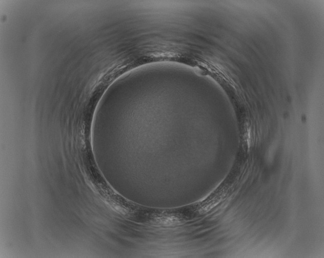 X0000067890547200604201312