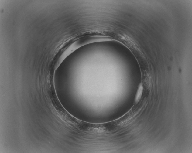 X0000067890548200604201312