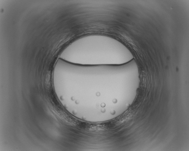 X0000067890550200604201312